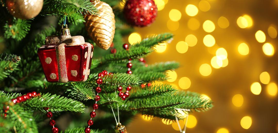singleparty datingsite DatingOost datingbureau relatiebureau kerstparty DatingOost Dating Oost DatingOost.nl datingsite datingbureau kerstparty Haaksbergen singles weduwe weduwnaar 